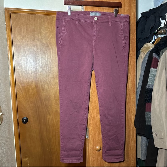 TORRID Plus Size Size 12 Maroon Feel The Fit Cotton Pants - Picture 2 of 5